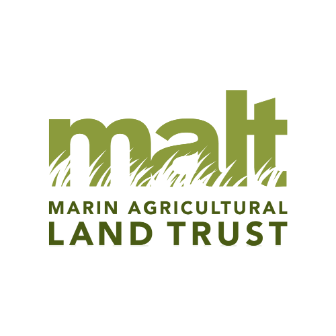MALT-Logo0.png