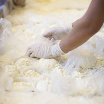 Cheesemaking.jpeg