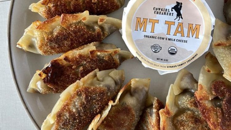 Crispy pan-fried dumplings filled with savory ingredients and served alongside creamy Mt Tam triple cream cheese for a rich and flavorful appetizer.