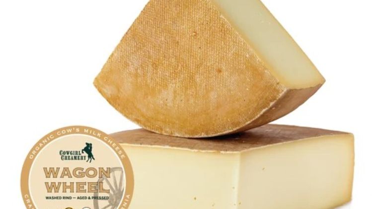 Wagon Wheel artisan cheese showcases a smooth, firm texture and rich flavor, crafted from organic cow’s milk and aged to perfection in Northern California.