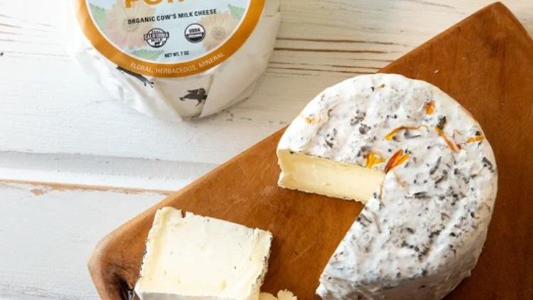Pierce Point organic cheese from Cowgirl Creamery, featuring a creamy interior and a bloomy rind infused with wild herbs and edible flowers.