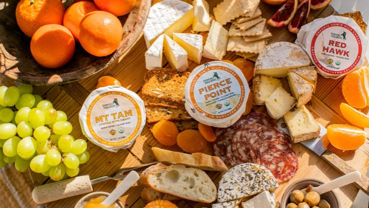 Cowgirl-Creamery_Beauty_Winter-Citrus-Cheese-Board-with-Cowgirl-Creamery-8
