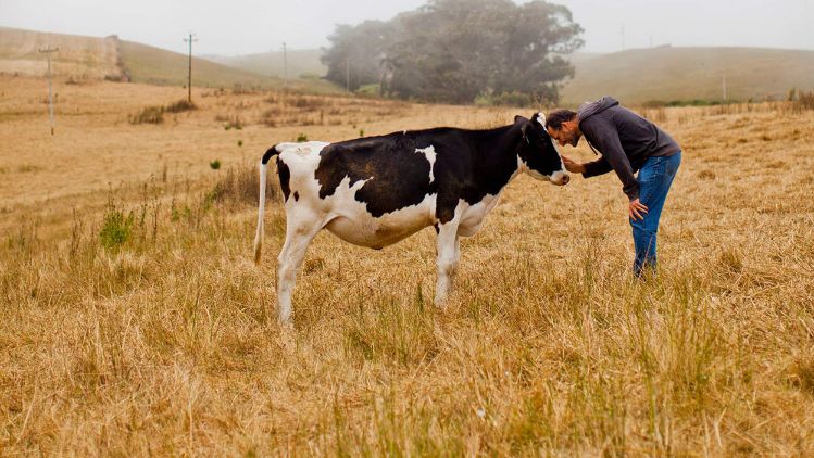 Cowgirl-Creamery-Communities.jpg